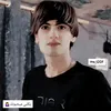 ms_t20f