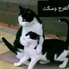 user13573474292205