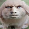 ziggy_scardust