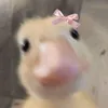 errei_fui_mah8