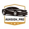 auksion_pro