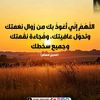 ali_811_ail