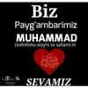 saidumarbek2020