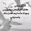 user41457906526845