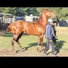bautista.barrios83
