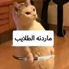 abaqalzhur3