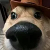 _migueelxz_1