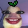 eiliyana2