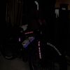 aidan_spam_401