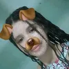 zinhamt1