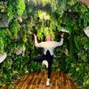 yolyyogi