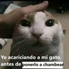 said_xd0324