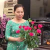 hangnguyen69422