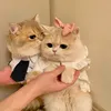 thai.nguyennn5
