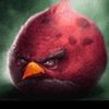 annoyed_avians