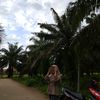 gr_ntan