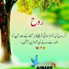 m.awais.30288