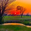 usman_thethia