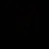 nvx_1206