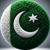 hussnaingondal12