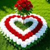 cabdi.qadir.cali3