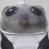mjdgxgmpmg