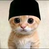 tiryzzwkwk