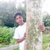 dlsarif1