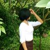 eaint66353