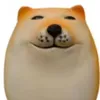 user4512542181770