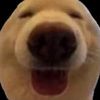 dog2861