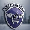 expertpelumi2