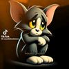 user7706568715659
