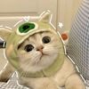 suzy21suzy
