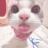 alya.zhafira25