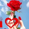 user6947247431748