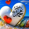 user87911597051500