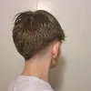 brunoabobora