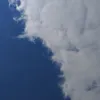 domencek98
