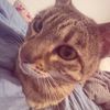 kitty._.meowz