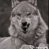 user7053400949440