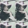 hiqhadhawtii_