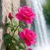 user4390970017194
