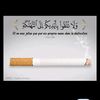 mohamed.fofana7246