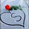 user74412825058321