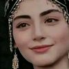 .ysh.anq