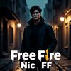 nic_106752008ff