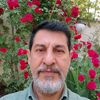 mehdy.rasouly