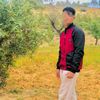 hadeya.albasha
