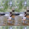 pich47328